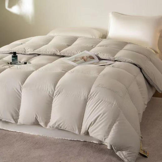 LSN高档鹅绒被 商品图2