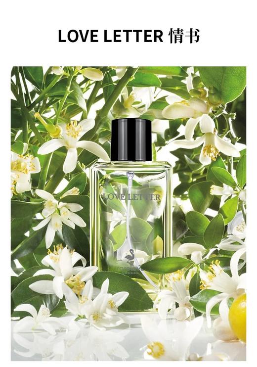 【情书Love letter香水SS529】这是一支以木质香作基调带有书卷气的中性香水  如果说闻香识人 那它给人的感觉会似超凡脱俗的清冷少女-PWJCY 商品图7