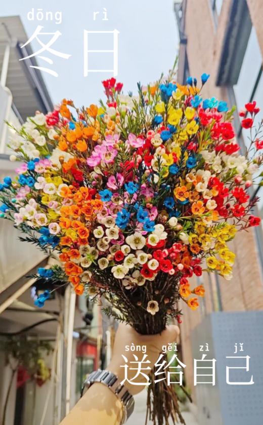 【吉家欢澳洲腊梅玻璃钻石瓶】生活需要仪式感， 隆冬到来时，百花迹己绝，惟有腊梅破，凌雪独自开-BXG 商品图3