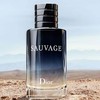 【限时特惠】Dior迪奥旷野男士经典香水系列 淡香水100ml 商品缩略图4
