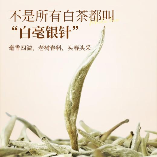 茶马世家丨茶博会金奖 白毫银针 云南白茶 特级 2023年 200g（ 100g*2罐） 商品图6