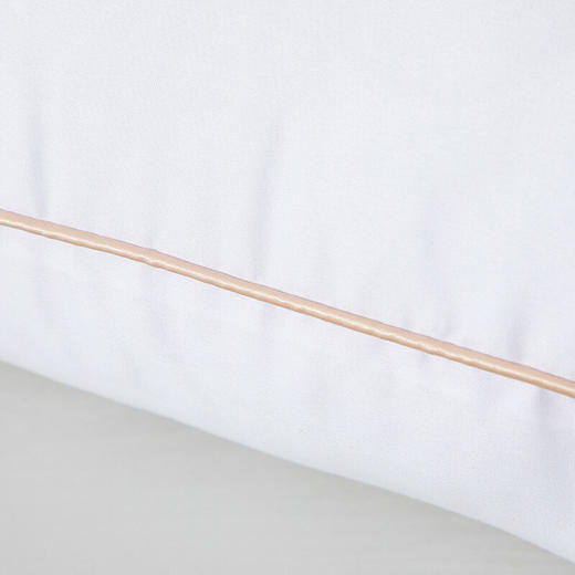 水星家纺 春眠抗菌对枕 74cm*48cmx2个 洁净舒适 抗菌防螨 商品图1