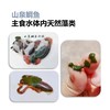 山泉鲷鱼 商品缩略图11
