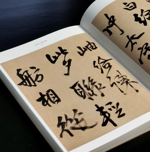 彩色放大本中国著名碑帖 名笔丛书全套10册 商品图12