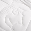 水星家纺抗菌DH威尔抗菌澳洲羊毛被 220cm×240cm 126789 商品缩略图3