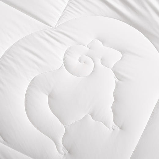 水星家纺抗菌DH威尔抗菌澳洲羊毛被 220cm×240cm 126789 商品图3