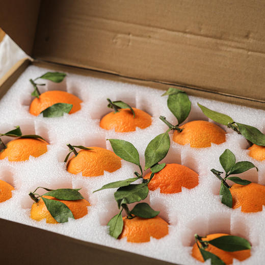 生态红美人果冻橙 商品图5