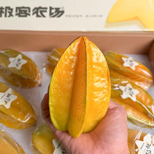 马来西亚杨桃丨品种源自马来西亚，产地广东，八成熟采摘，脆嫩酸甜，杨桃尖尖甜度会高一些⭐️顺丰陆运 商品图2