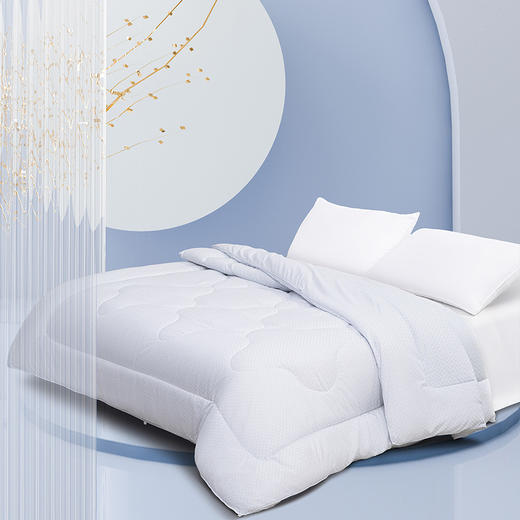 水星家纺DH清朗七孔抗菌四季被 200cm*230cm 125540 商品图10
