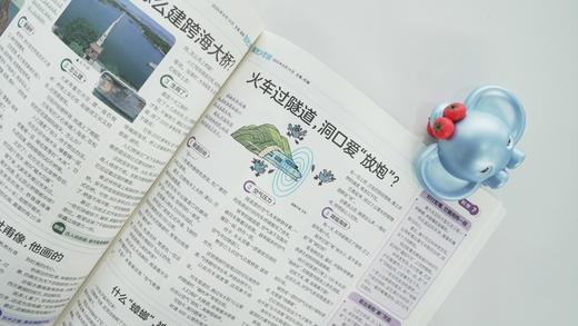 【1月10日发货】2025年阳光少年秋冬合刊+2025年阳光大少年秋冬合刊 商品图2