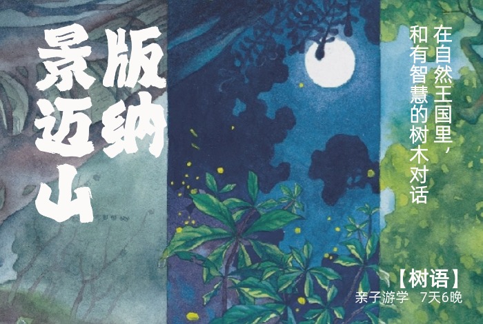 何以版纳，当自然王国开始说话【树语】7天6晚