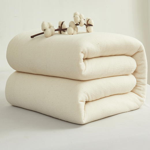 皮尔卡丹新疆棉花被絮PCAZ-1401 商品图7