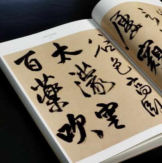 彩色放大本中国著名碑帖 名笔丛书全套10册 商品图11