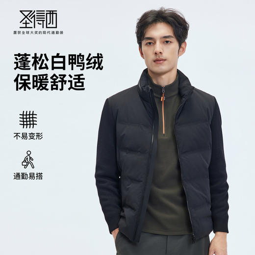 【门店同款&鸭绒】圣得西2025年冬季男士立领保暖羽绒服 
 商品图0