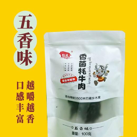 香菌牦牛肉（五香味100g+香辣味100g） 商品图1