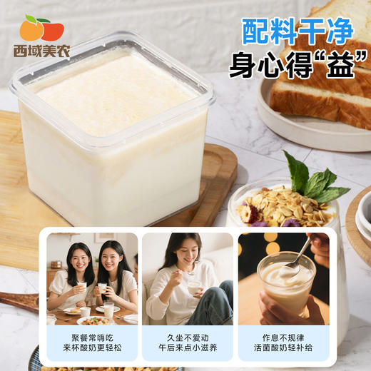 西域美农 内蒙古欧若姆酸奶奶皮子酸奶 专利菌酸奶  plus奶皮子酸奶1kg  每瓶添加≥200g鲜奶皮 商品图7