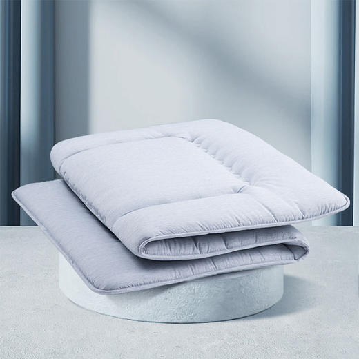 水星家纺单人DH流光溢彩印花床垫 90cm×195cm 123219 商品图2