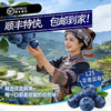 云南“育溪”L25花香蓝莓精选新鲜水果顺丰特快包邮 商品缩略图0