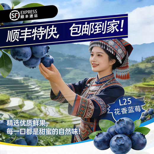 云南“育溪”L25花香蓝莓精选新鲜水果顺丰特快包邮 商品图0