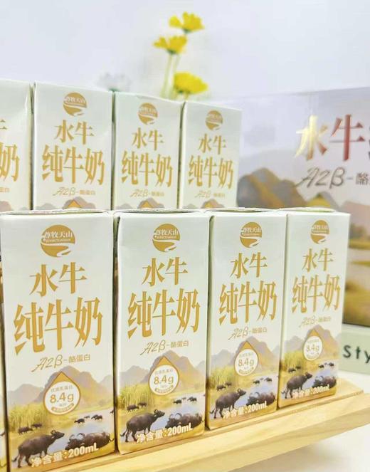 尊牧天山水牛奶，8.4g乳蛋白，12盒 商品图1
