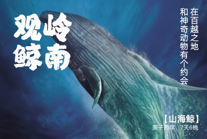 何以岭南，在百越之地约会广西神奇生物【山海经】 7天6晚