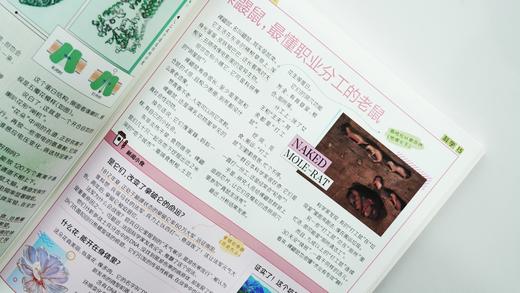 【1月10日发货】2025年阳光少年秋冬合刊+2025年阳光大少年秋冬合刊 商品图3