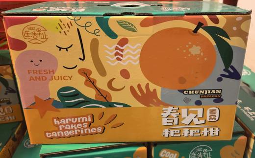 L耙耙柑约5斤 商品图0