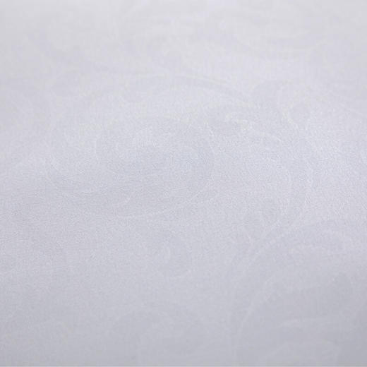水星家纺 春眠抗菌对枕 74cm*48cmx2个 洁净舒适 抗菌防螨 商品图4