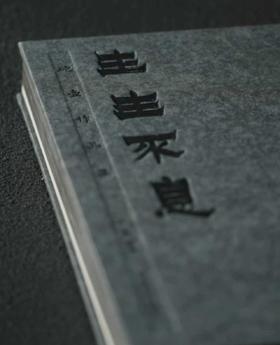 《生生不息·砣壶作品集》