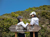 元旦5日【轻奢麦理浩径5日】全球最美TOP20远足径-轻装启程香港之脊：山与海的碰撞-触摸亿年前的地貌 商品缩略图6