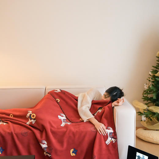 自然醒秋冬仿羊毛绒毛毯-花园小马系列MT 商品图3