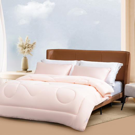水星家纺床上用品DH远山含黛抗菌防螨冬被 200cm*230cm 126206 商品图7