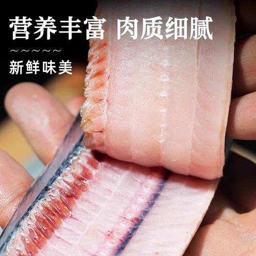 久参岛带鱼段深海捕捞5袋装 商品图2