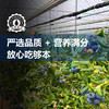 云南“育溪”L25花香蓝莓精选新鲜水果顺丰特快包邮 商品缩略图2