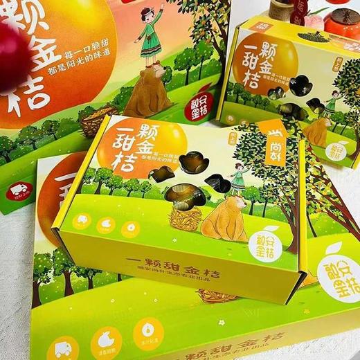 融安 一颗甜金桔   脆甜可口 1件约3斤 商品图1