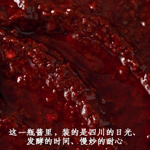 四川麻婆豆腐酱  植物配方净素 麻辣鲜香 商品图1