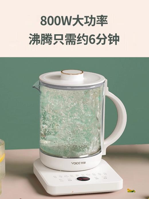 优益YSH30A养生壶 （送蛋架） 商品图2