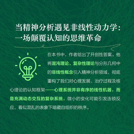 非线性精神分析 混沌理论与复杂性理论四十年研究手记 弗洛伊德精神分析心理学书籍徐钧作序童俊吴和鸣张沛*盛情推荐 商品图1
