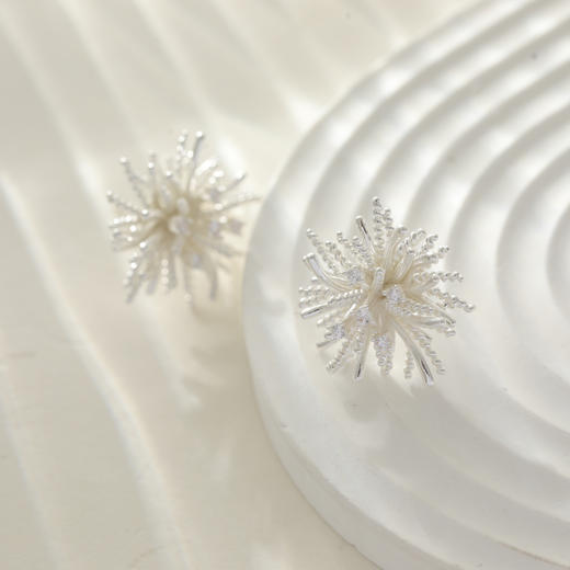 三彩2026新款立体浪漫蒲公英耳钉时尚梦幻镀银耳饰养耳清新约会女 商品图4