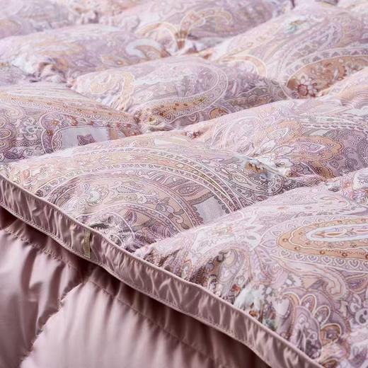 【春上新】10楼  富安娜   95%白鹅绒冬被 / 咖啡  吊牌价15800-16800元   活动价 2999元 商品图2