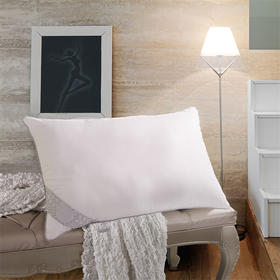 水星家纺 沁新抗菌枕 48cm×74cm 洁净舒适 抗菌防螨 123776