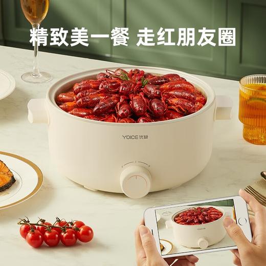 优益Y-DHG15 电火锅/蒸锅+蒸笼 商品图3