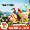 【合家欢组合】杨博士无抗土鸡深山散养散养无抗母鸡+无抗童子鸡+土鸡蛋 商品缩略图0