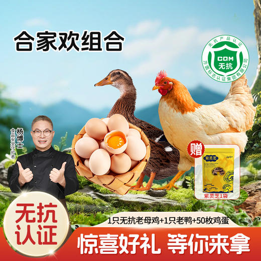 【合家欢组合】杨博士无抗土鸡深山散养散养无抗母鸡+无抗童子鸡+土鸡蛋 商品图0