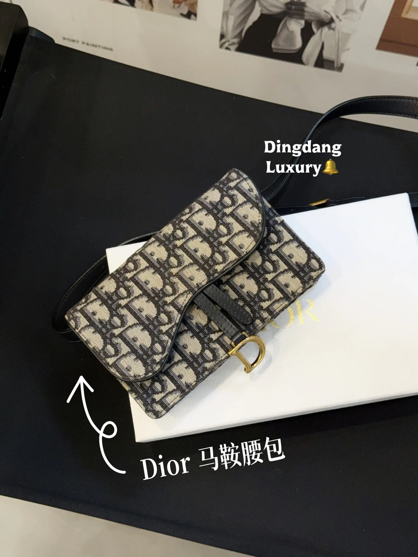 DIOR 老花 马鞍 woc 腰包