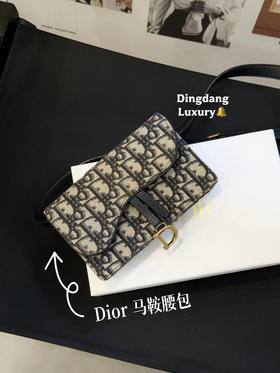 DIOR 老花 马鞍 woc 腰包