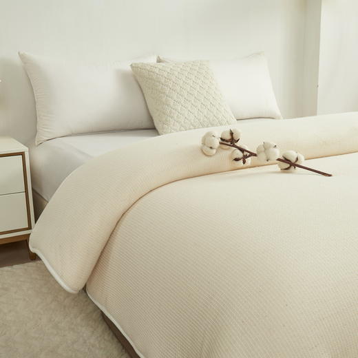 皮尔卡丹新疆棉花被絮PCAZ-1401 商品图2