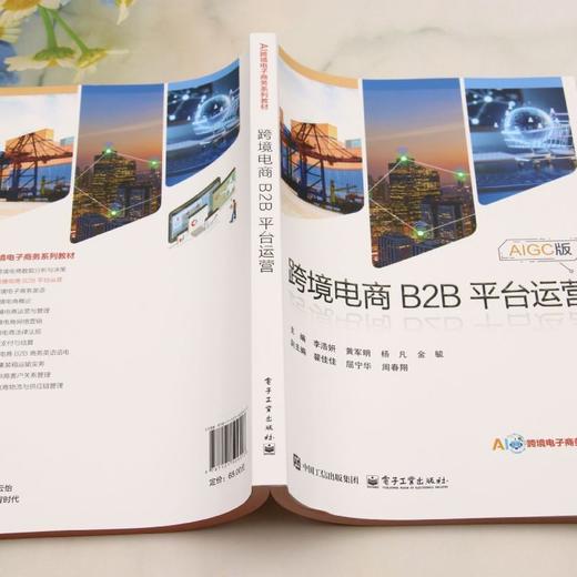 跨境电商B2B平台运营 商品图3