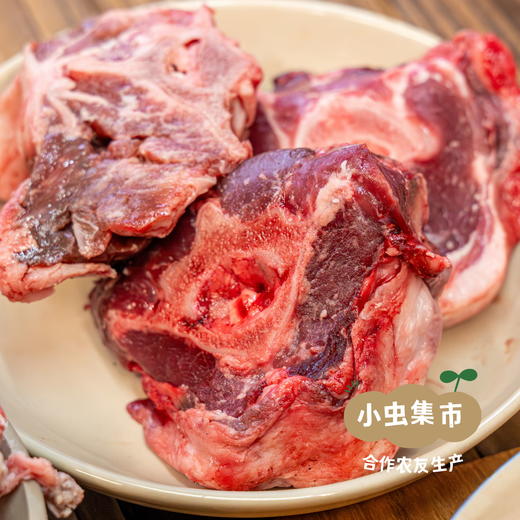 阿拉善大漠生态羊肉 （新鲜出品，每周一、三、五发货） | 合作农友生产，产自内蒙古阿拉善，生产者：致良田与牧民合作生产*【公平贸易农人定价】 商品图11