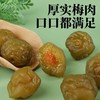 青梅干爽口青梅果干酸梅子话梅干蜜饯果脯果干网红解馋休闲小零食 商品缩略图2